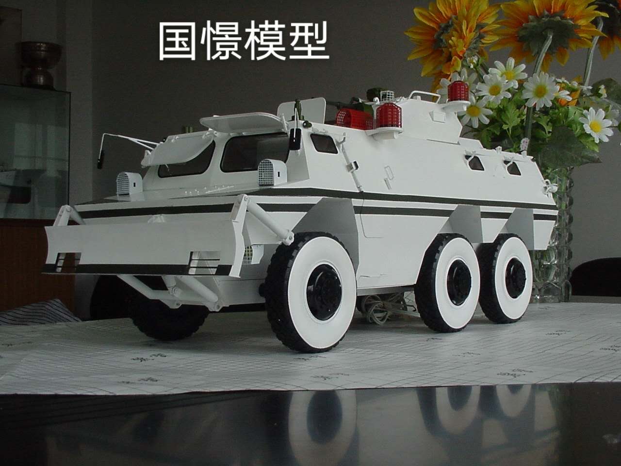崇义县军事模型