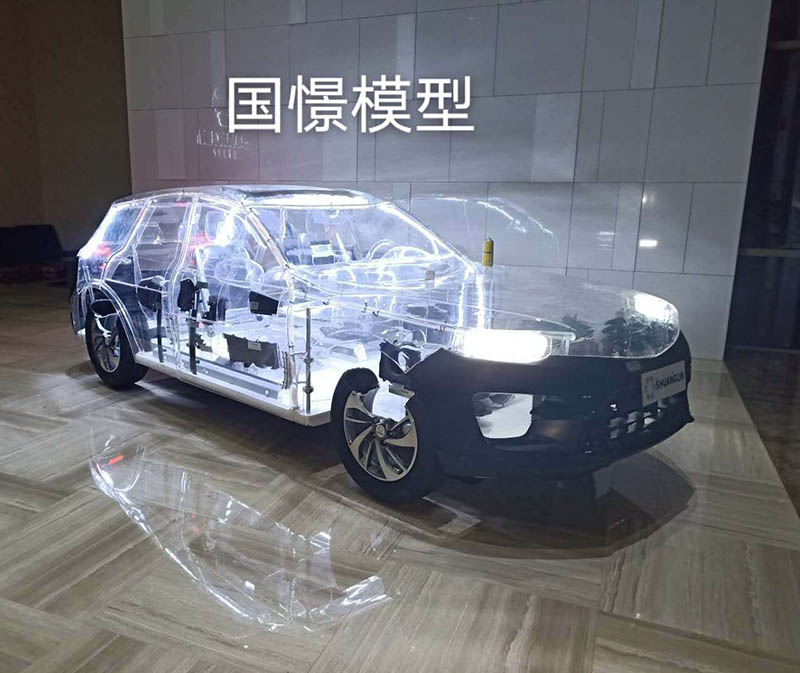 崇义县透明车模型